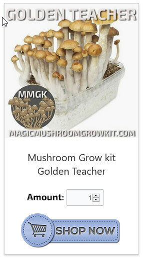 Buy online magic mushroom kit